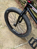 Custom Mankind BMX with Profile Mini Wheels