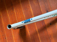 CULT 2 Short 21" BMX Frame White RRP £350