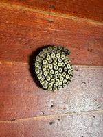 Cult Halflink Chain Gold RRP £30