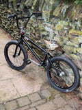 Custom Mankind BMX with Profile Mini Wheels