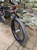 Custom Mankind BMX with Profile Mini Wheels