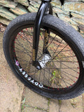 Custom Mankind BMX with Profile Mini Wheels