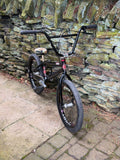 Custom Mankind BMX with Profile Mini Wheels