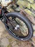 Custom Mankind BMX with Profile Mini Wheels