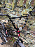 Custom Mankind BMX with Profile Mini Wheels